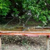 photo 2021-05-16 11-29-02