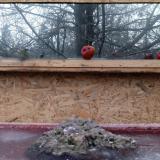 photo 2022-01-16 07-55-02