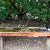 photo 2021-08-23 15-05-25