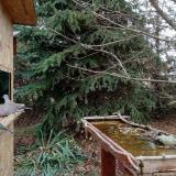 photo 2021-11-19 13-44-19