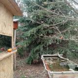 photo 2021-12-26 11-07-42