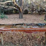 photo 2021-10-26 08-12-38