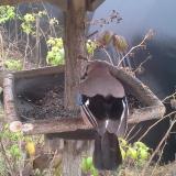 photo 2019-12-12 12-50-20