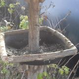 photo 2019-12-15 10-28-36