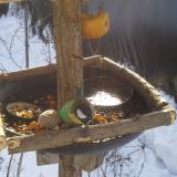 photo 2019-01-27 10-29-07