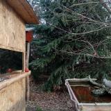 photo 2022-01-05 09-38-05