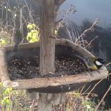 photo 2019-12-22 14-03-42