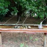 photo 2021-07-12 10-22-16