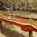 photo 2021-04-06 12-49-39