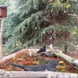 photo 2023-10-10 08-51-18