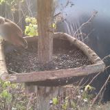 photo 2019-12-18 08-25-35