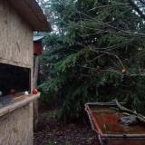 photo 2021-12-30 16-00-13