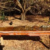 photo 2021-10-27 10-58-04