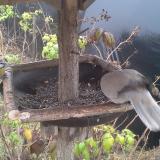 photo 2019-12-12 13-09-21