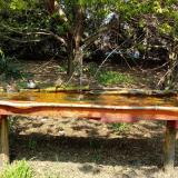 photo 2021-04-21 12-50-59