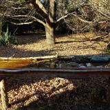 photo 2021-10-25 15-44-27