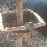 photo 2019-02-14 08-22-00