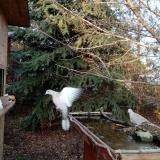 photo 2021-12-14 14-24-49