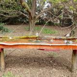 photo 2021-04-11 11-43-53