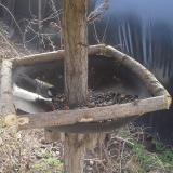 photo 2019-03-16 10-41-17