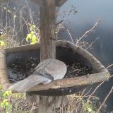 photo 2019-12-23 09-36-34