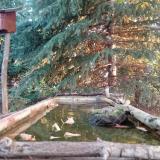 photo 2023-10-14 07-48-46