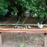 photo 2021-07-12 10-22-06