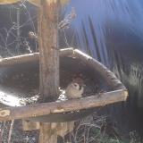 photo 2019-02-18 10-38-29