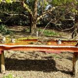 photo 2021-04-12 09-52-53