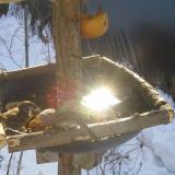 photo 2019-01-27 10-11-05