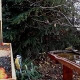 photo 2021-11-14 07-52-34