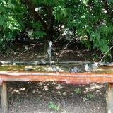 photo 2021-08-04 13-49-07