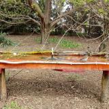 photo 2021-04-11 11-43-20