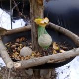 photo 2019-01-15 13-05-42