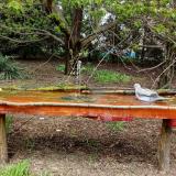 photo 2021-04-19 12-53-39