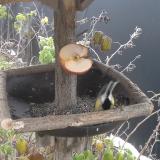 photo 2019-12-04 08-48-24