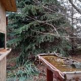 photo 2021-11-18 08-52-37