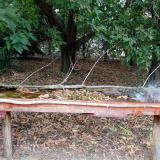 photo 2021-09-20 15-15-38