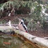 photo 2023-10-12 17-40-11