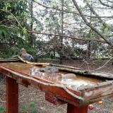 photo 2022-03-31 08-42-44