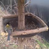 photo 2019-03-13 15-22-08