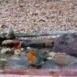 photo 2021-10-25 17-48-34 vorosbegy