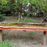 photo 2021-04-26 15-20-23