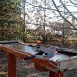 photo 2022-03-13 07-08-14