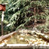 photo 2023-10-17 13-10-02