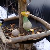 photo 2019-01-17 09-05-37