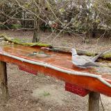 photo 2021-03-31 11-30-48