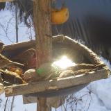 photo 2019-01-27 10-08-22