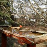 photo 2022-03-20 15-11-50