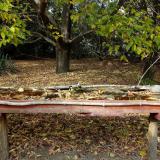 photo 2021-10-13 14-57-37